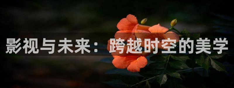 樱花影院理论
