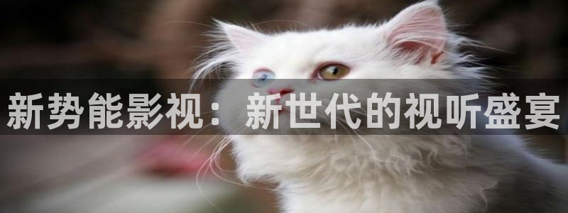 小樱花：新势能影视：新世代的视听盛宴