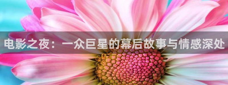 五月樱花电影